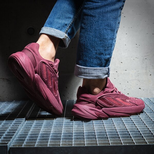Sporta apavi vīriešiem ADIDAS OZELIA gx3256 krāsa bordo