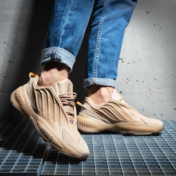 Sporta apavi vīriešiem ADIDAS OZRAH gx3240 krāsa brūna