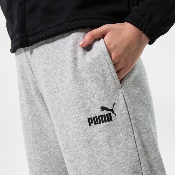 Sieviešu bikses PUMA BIKSES ESS SWEATPANTS TR CL 586842 04 krāsa pelēka