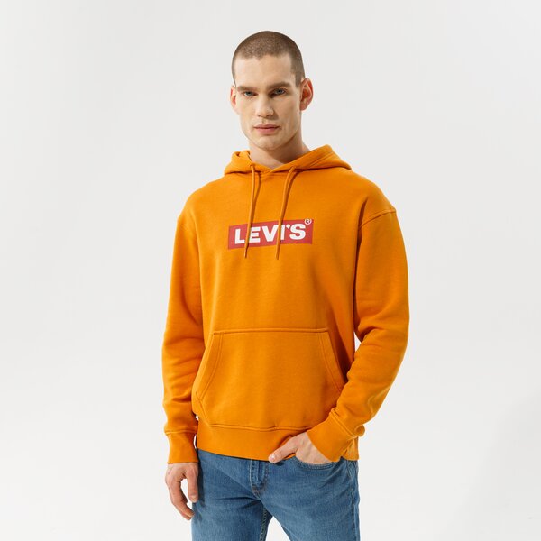 Vīriešu džemperis LEVI'S  DŽEMPERIS AR KAPUCI    T3 RELAXD GRAPHIC HOODIE 38821-0116 krāsa brūna