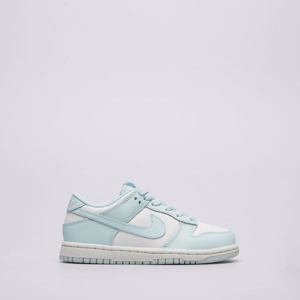 Sporta apavi bērniem NIKE DUNK LOW fb9108-105 krāsa zila